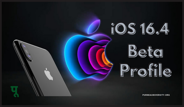 iOS 16.4 Beta Profile